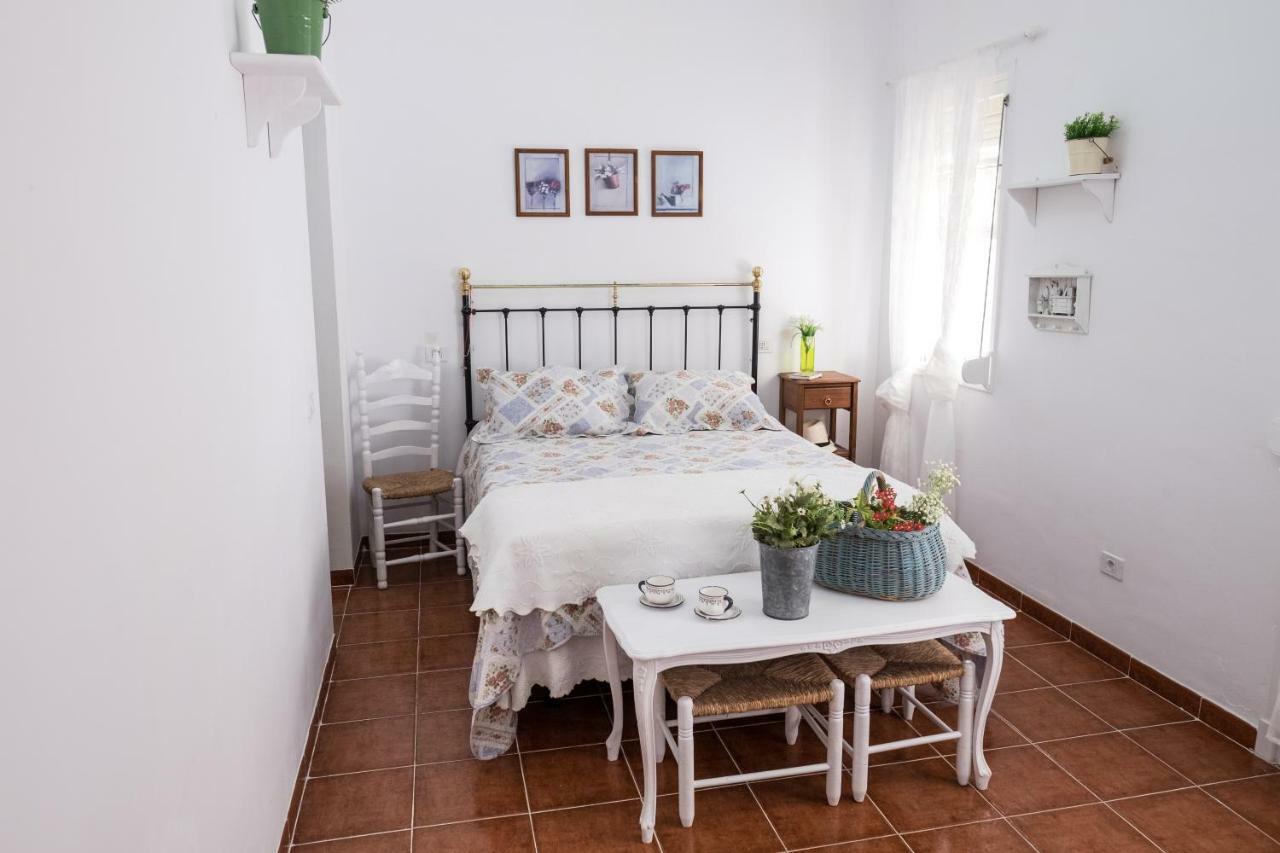 サンタクルスデテネリフェCasa Maria Cristina 3アパートメント エクステリア 写真
