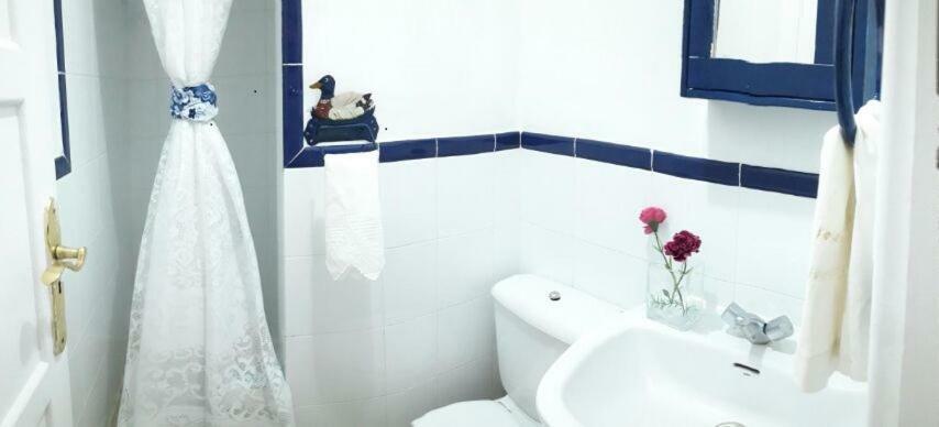 サンタクルスデテネリフェCasa Maria Cristina 3アパートメント エクステリア 写真